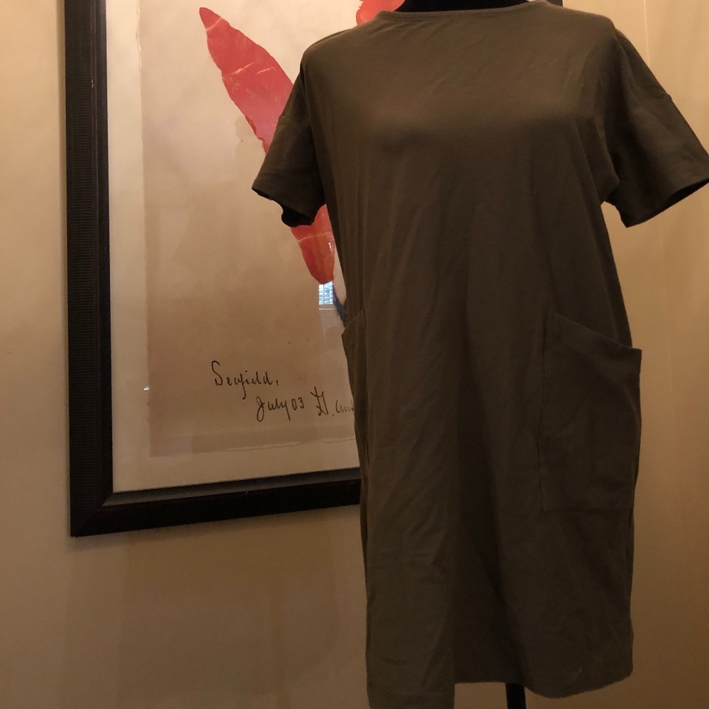 Eileen Fisher Olive Green Dress/Top